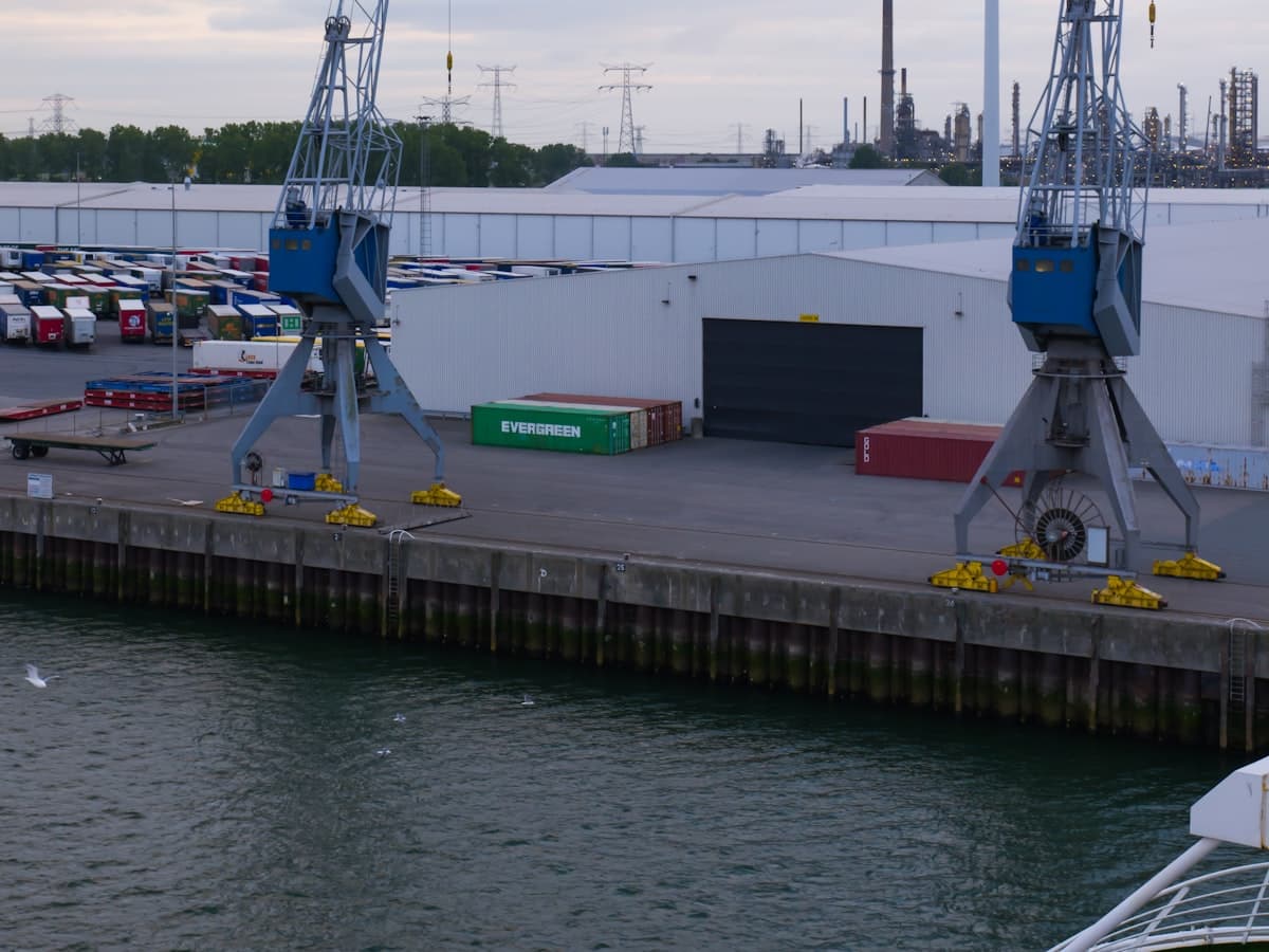 Dockside cranes handling containerised cargo.
